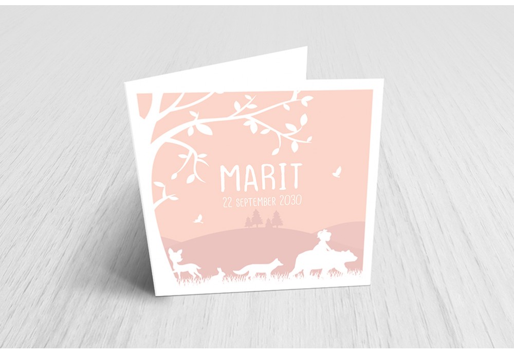 Meisje met dieren Meisje met dieren